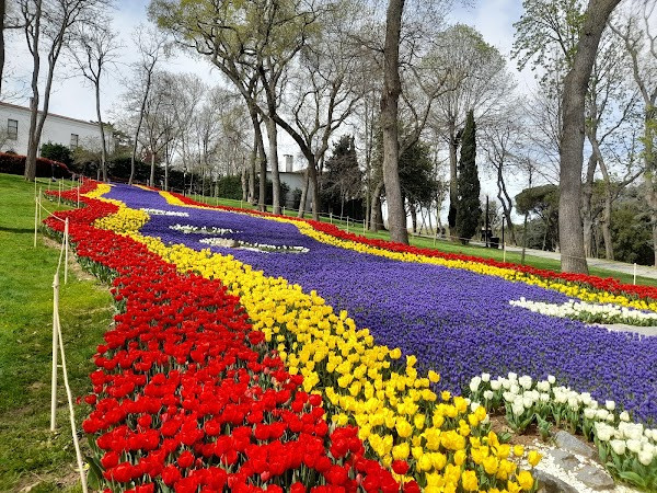 İBB Emirgan Grove photo