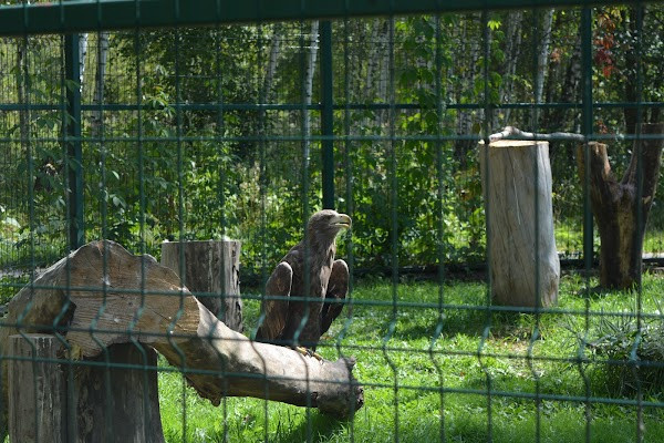 Белгородский Зоопарк photo