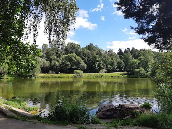 Битцевский Лес photo