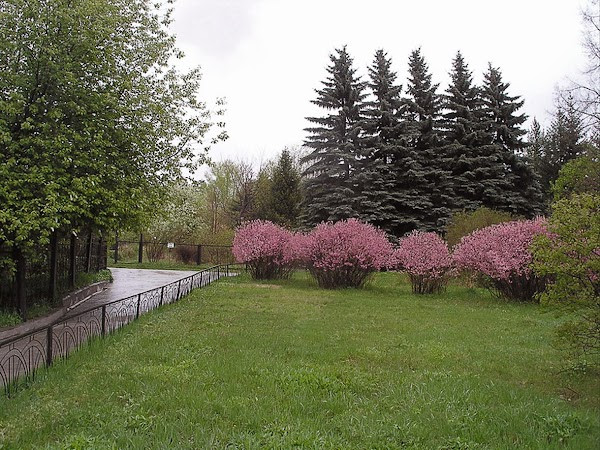 Ботанический сад Иркутского госуниверситета /Irkutsk Botanic Garden photo