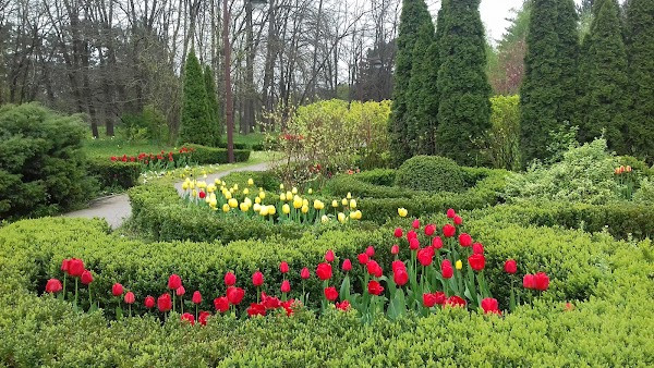 Дендрарий photo