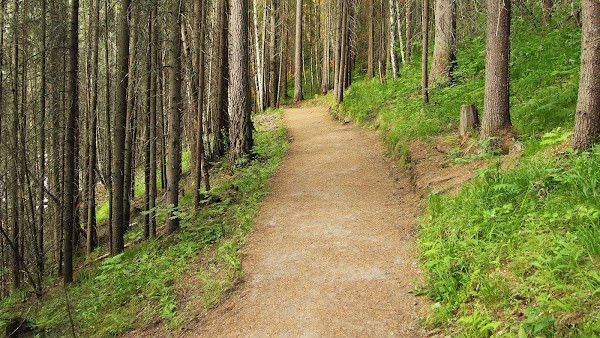 Природный парк «Оленьи ручьи» photo