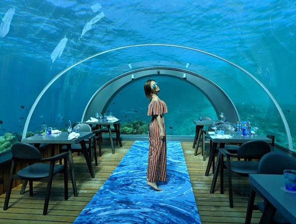 5.8 Undersea Restaurant photo