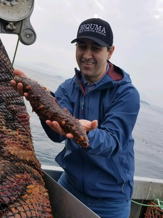 Aegean Sea Cucumber photo