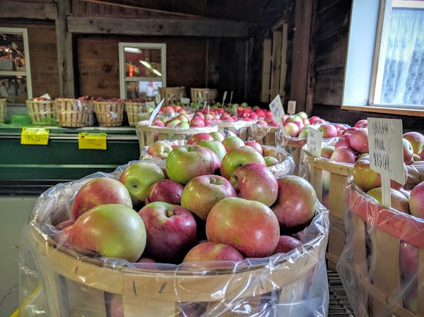 Altamont Orchards Inc. photo