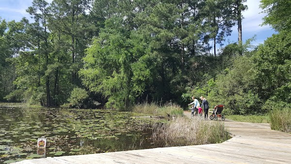 Arboretum Lake photo