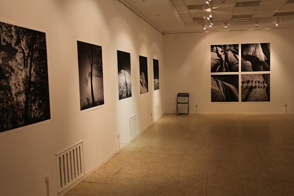 Arka Art Gallery photo