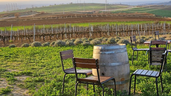 Barbare Bağları photo