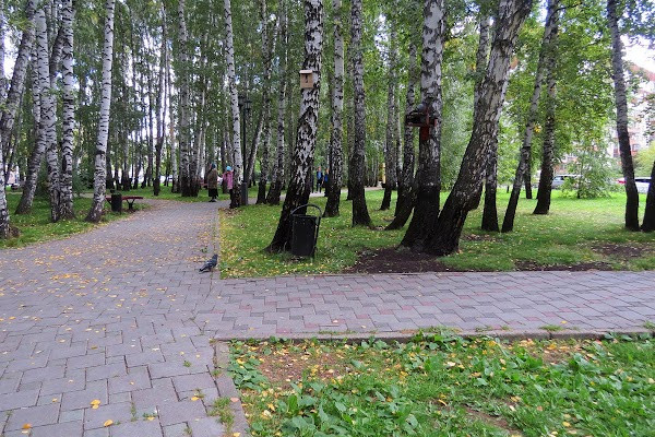 Berezovaya Roshcha photo