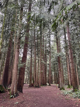 Berthusen Park photo