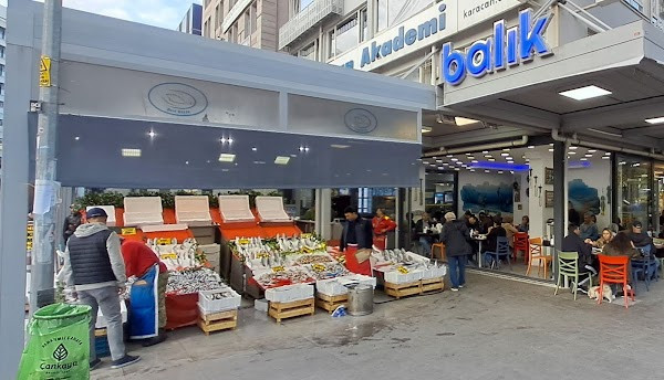 Besi Balık Pişirme photo