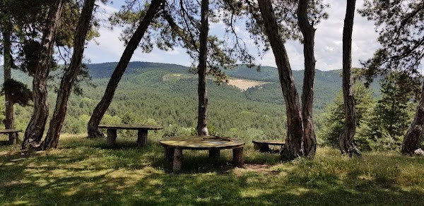 Beypiliรง Memorial Forest photo