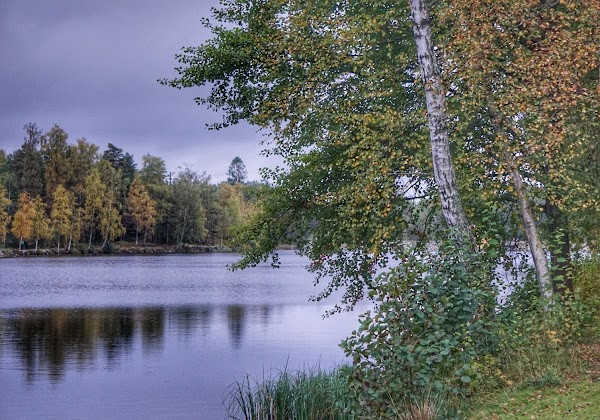 Bjørneparken Fredrikstad, wooden carvings on the marked trail. photo