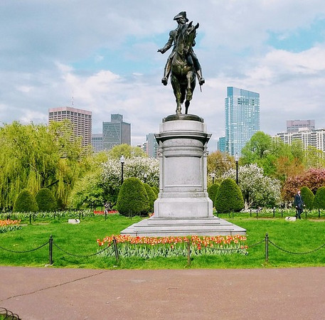 Boston Common photo