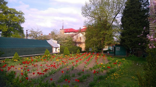 Botanical Garden of Lviv University photo