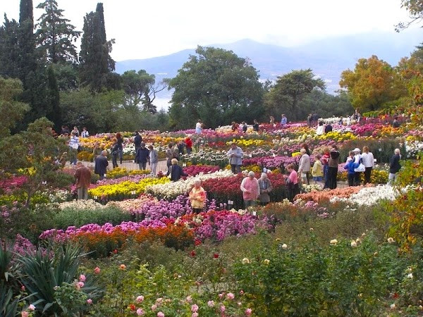 Botanicheskiy Sad photo