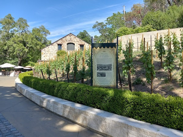 Buena Vista Winery photo