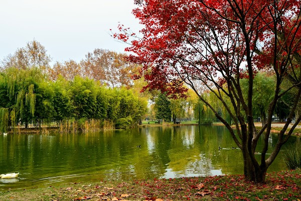 Bursa Botanical Park photo