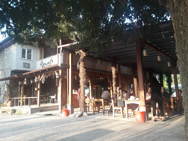 Bursa Haflinger Farm photo