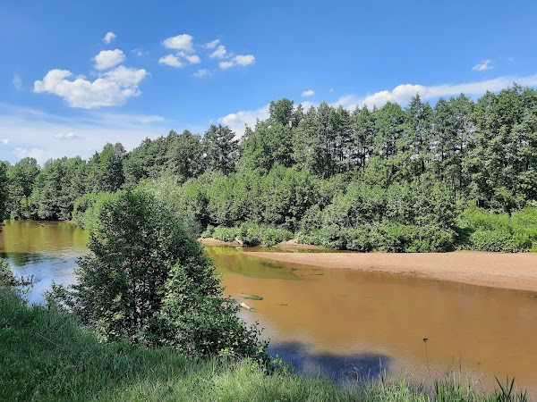Buzuluksky Bor National Park photo