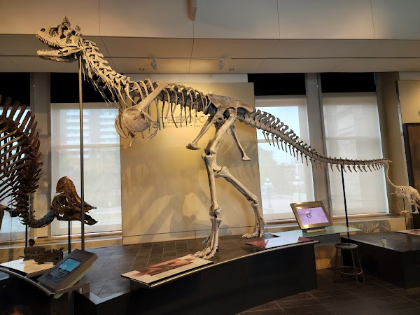 Canadian Museum of Nature photo