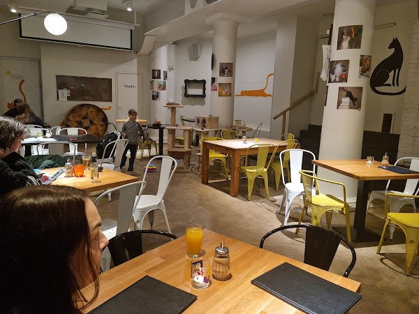 Cat Cafe Nurri photo