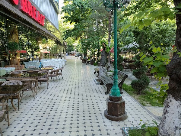 City Centre Hotel photo