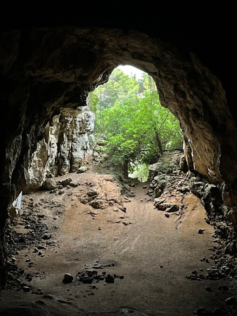 Cova des Coloms photo