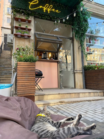 Cozy Coffeehouse photo