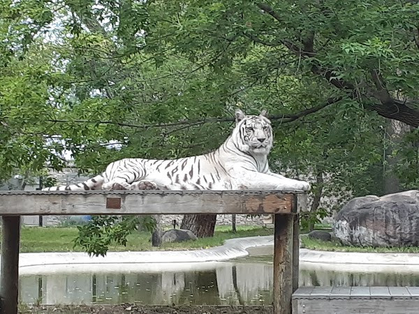 Dakota Zoo photo