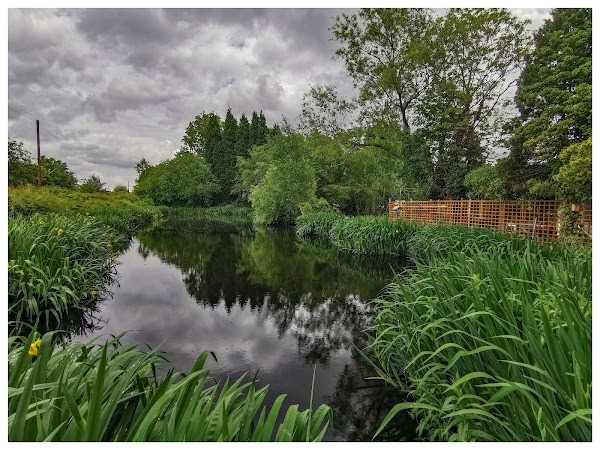 Dane Bank Green Space photo