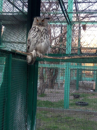 Detskiy Zoopark photo