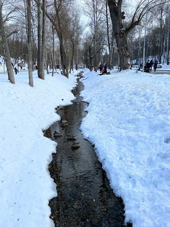 "Dinamo" photo