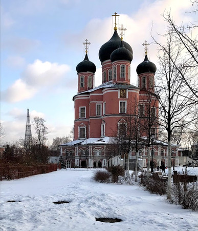 Donskoy Monastery photo