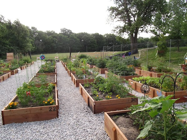 Ellisville Community Garden photo