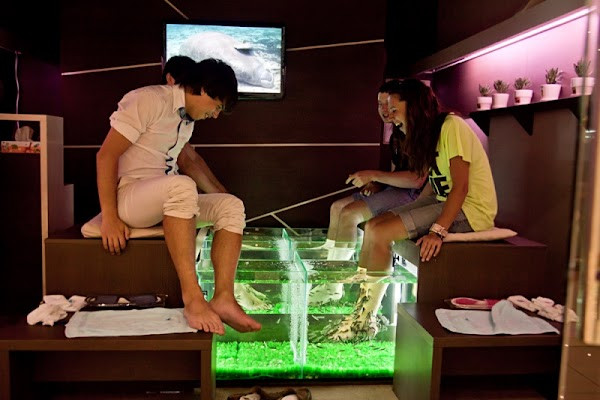 FISHMASSAGE.ua - Good Life Mall photo