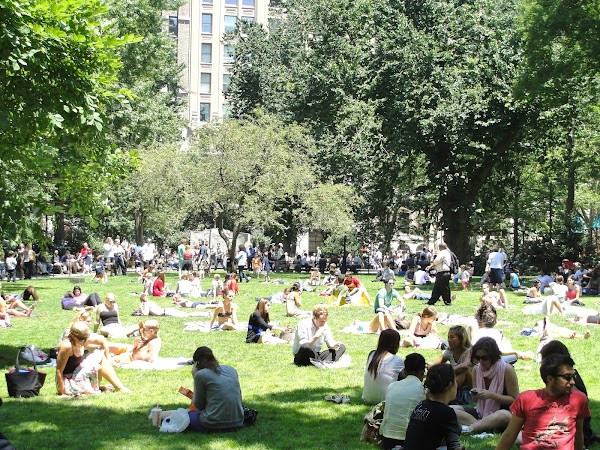 Flatiron Public Plaza photo