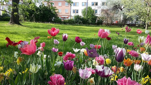 Flora Olomouc Exhibition, a. S. photo