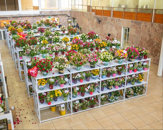 Florería Villaflores. Envío de Flores a Domicilio en Santiago photo