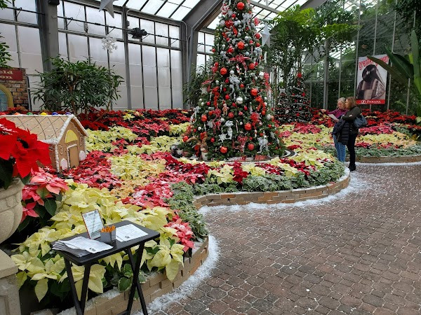 Garfield Park Conservatory photo