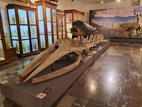 Georgian National Museum photo