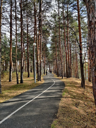 Gilevskaya Roshcha photo