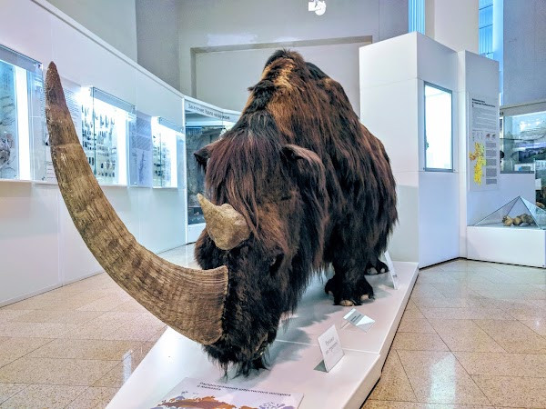 Gosudarstvennyy Istoricheskiy Muzey Yuzhnogo Urala photo