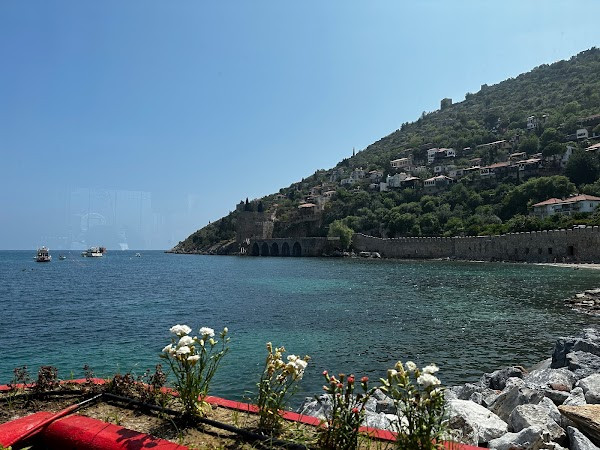 Harbour Kitchen & Bar photo