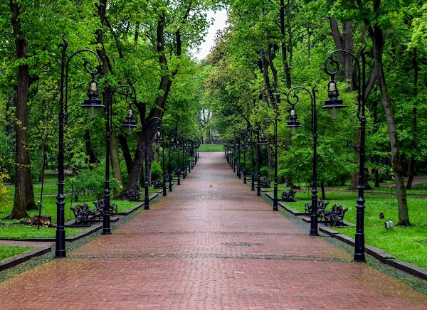 Ivan Franko Park photo