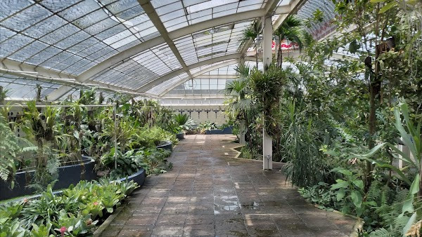 Jardín Botánico del Bosque de Chapultepec photo