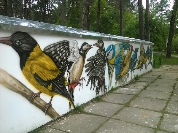 Korbutivka Hydropark photo