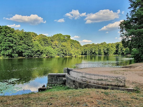 Kuzminki Forest Park photo