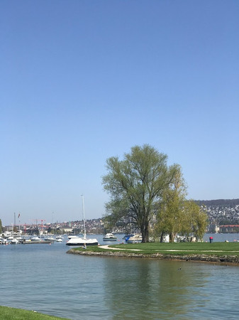 Lake promenade photo