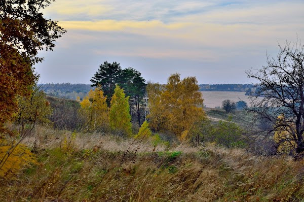Landshaftnyy Park "Vasylʹkivsʹki Karpaty" photo